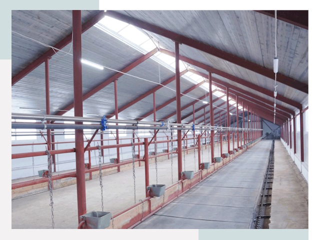 Строительство коровников в Пушкине от 649 руб.