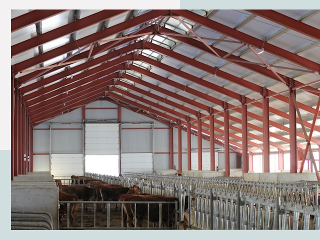 Строительство коровников в Пушкине