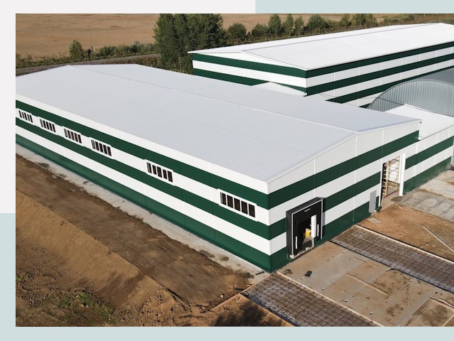 Строительство овощехранилищ в Пушкине