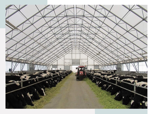 Тентовые коровники в Пушкине от 649 руб. - Надежно и доступно